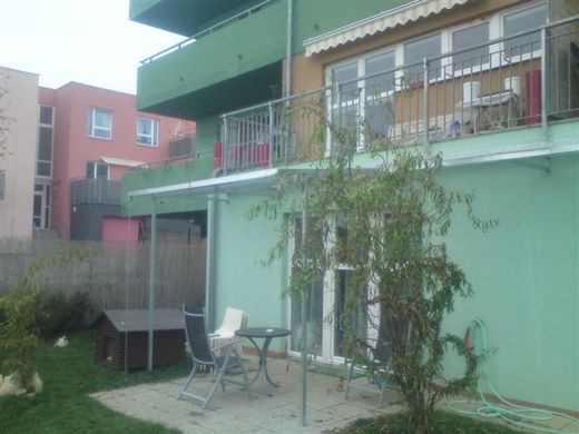 dsc00504-2.jpg