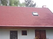 101_0352.jpg